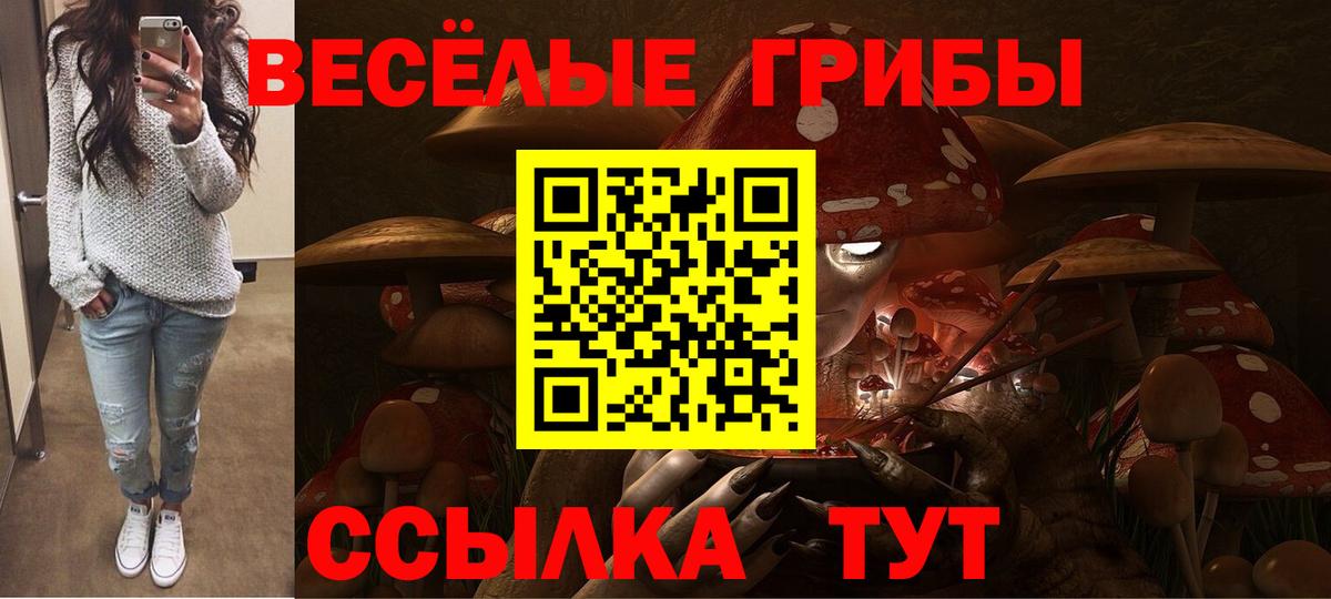 Галлюциногенные грибы мицелий  Галлюциногенные грибы мицелий  Елабуга  Вход с VPN 